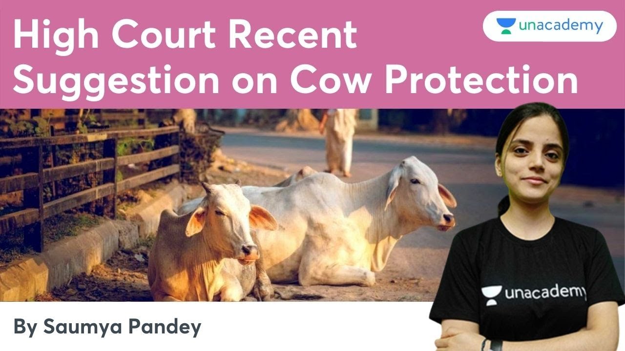 High Court Recent Suggestion on Cow Protection | @Let's Crack SSC & Railway Exams | Saumya Pandey