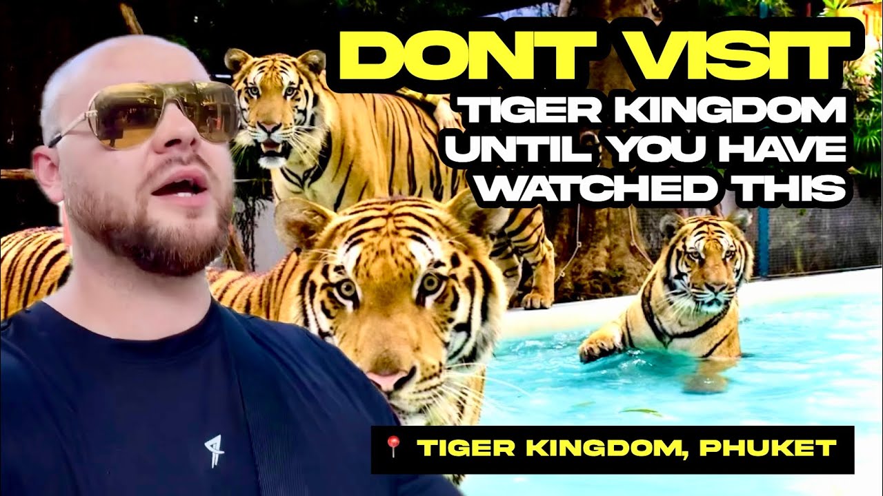 Стоит ли ехать в Tiger Kingdom на Пхукете? — Я попал в клетку с тигром!!!
