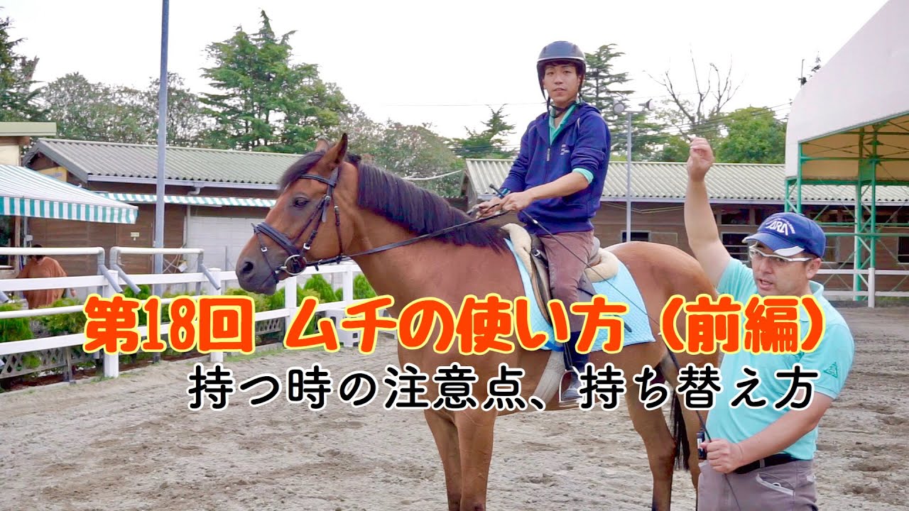 【動画で乗馬レッスン#18】ムチの使い方（前編）ムチの持ち替え方｜神戸からすぐの乗馬クラブ 明石乗馬協会