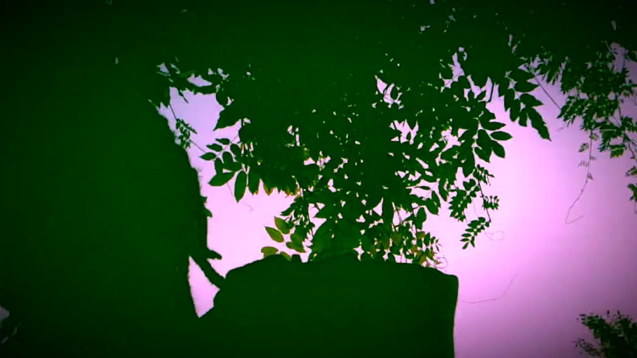 Psychedelic crook
