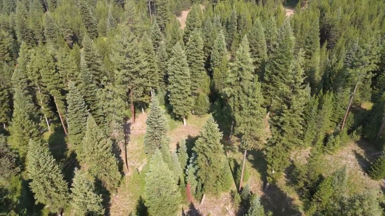220 TriPod Cascade Idaho 83611