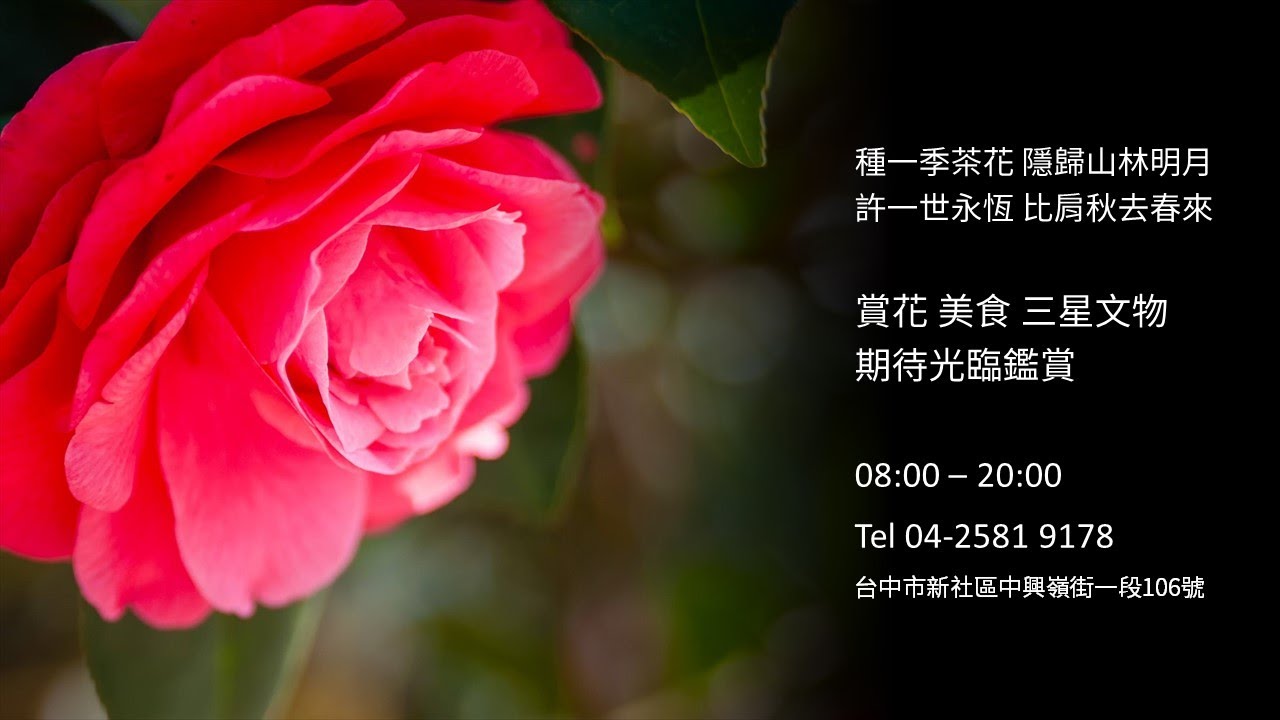 明月居茶花山莊第三輯(1080P)