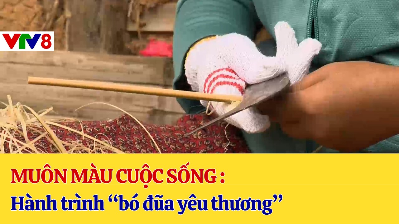 Top: Muôn Màu Cuộc Sống : Hành Trình Bó Đũa Yêu Thương