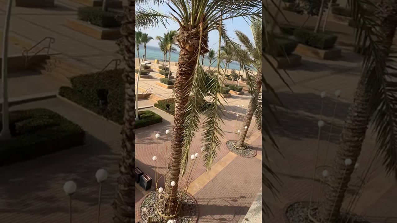 للبيع شقتان متقابلتان بإطلالة بحرية مباشرة – أبراج البليسان