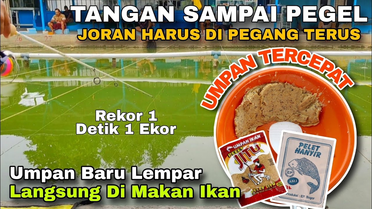 GAK BISA NYANTAI MANCING KALI INI .... UMPAN NYEMPLUNG LANGSUNG JADI REBUTAN IKAN ( Umpan Ikan Mas )