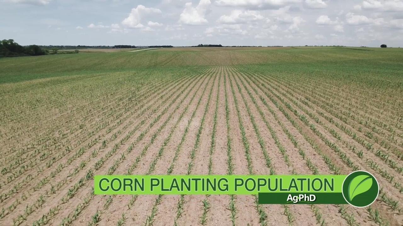 Corn Planting Population #1023 (Air Date 11-12-17)