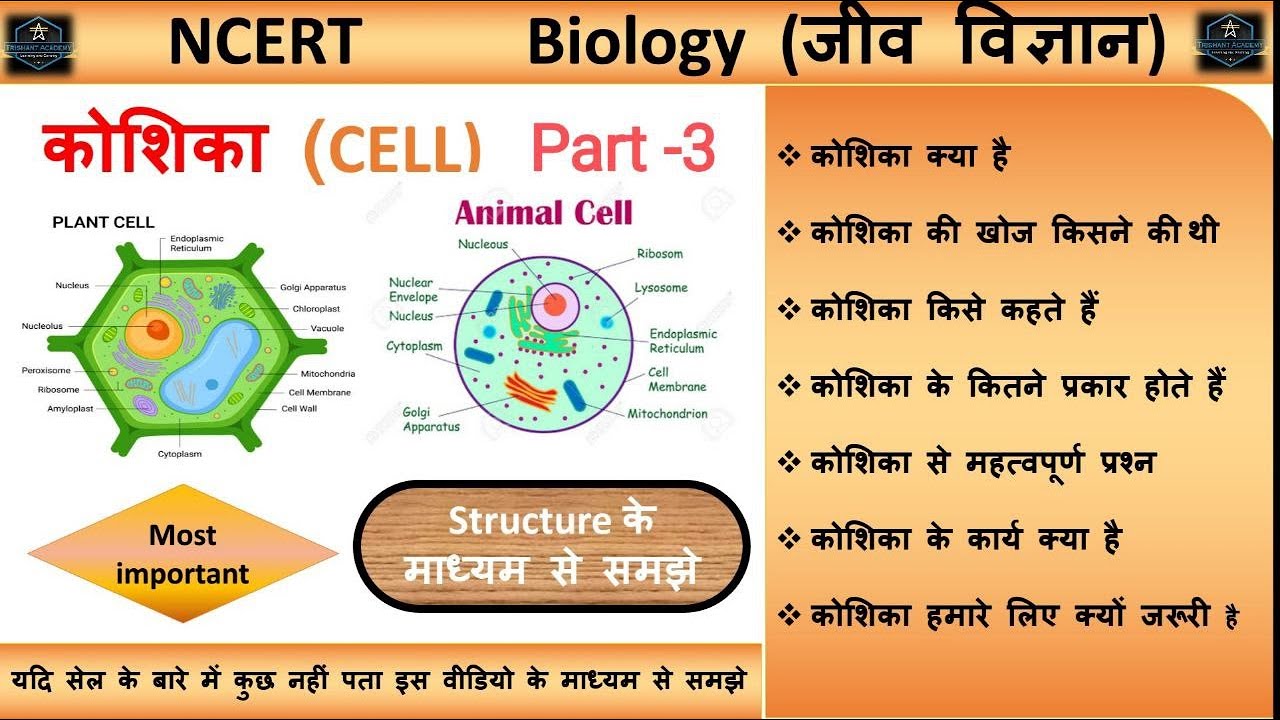 What Is Cell | कोशिका किसे कहते है | Types Of Cell | DNA And RNA | मानव कोशिका की संरचना | Biology