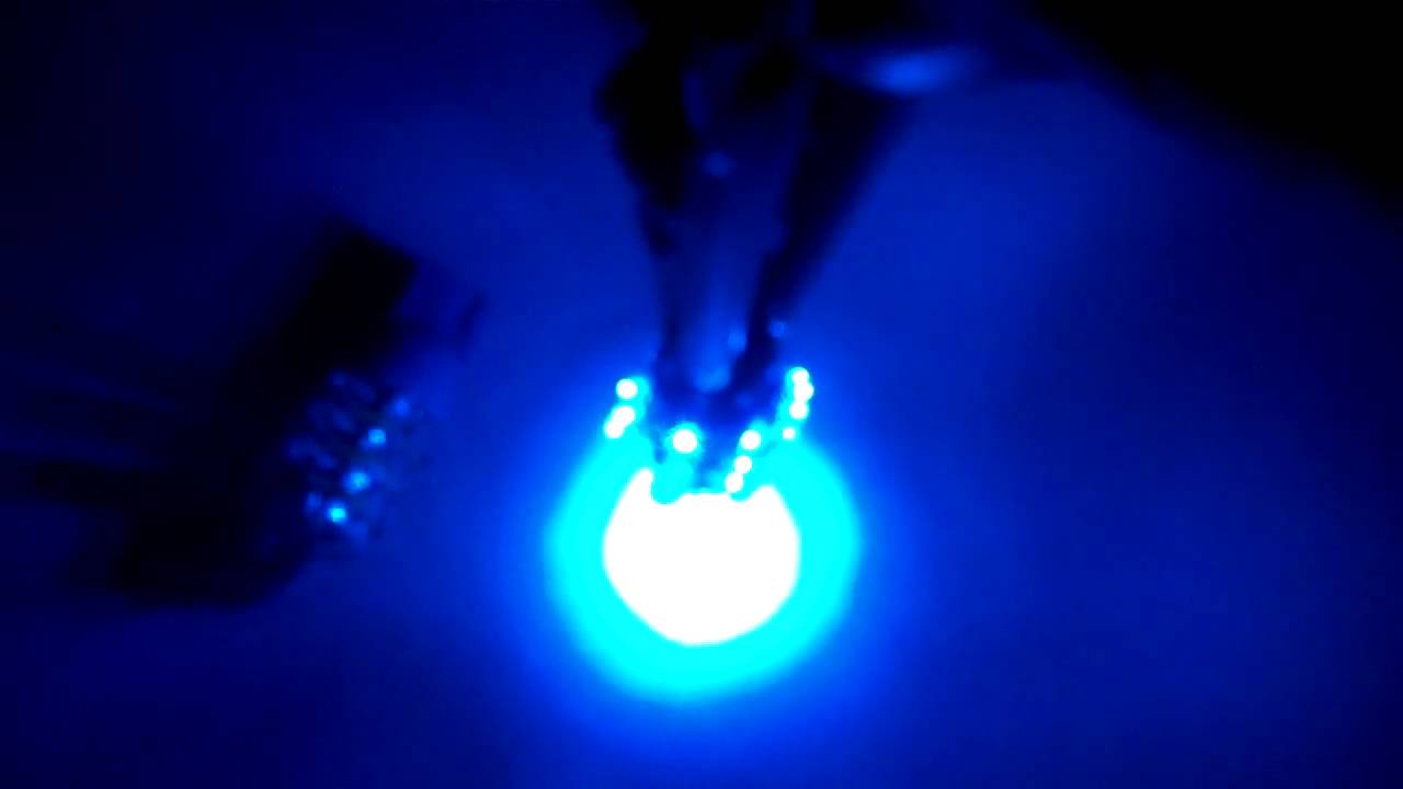 LEDbulbz : BLUE 24-LED bulb...921/906/194/168/2825/w5w/T10