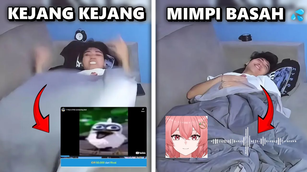 Moment Lucu Wielino di Spam Mediashare saat tidur