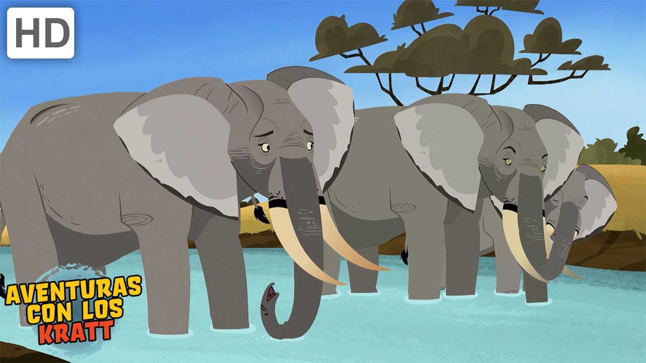 Criaturas muy grandes | Ballenas, elefantes + más! [episodios completos] Aventuras con los Kratt