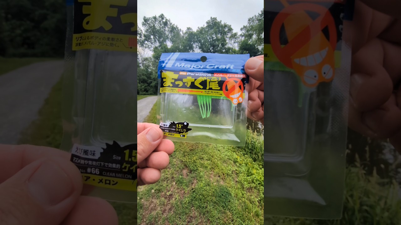Fishing with Major Craft PW Para Worm 1.5