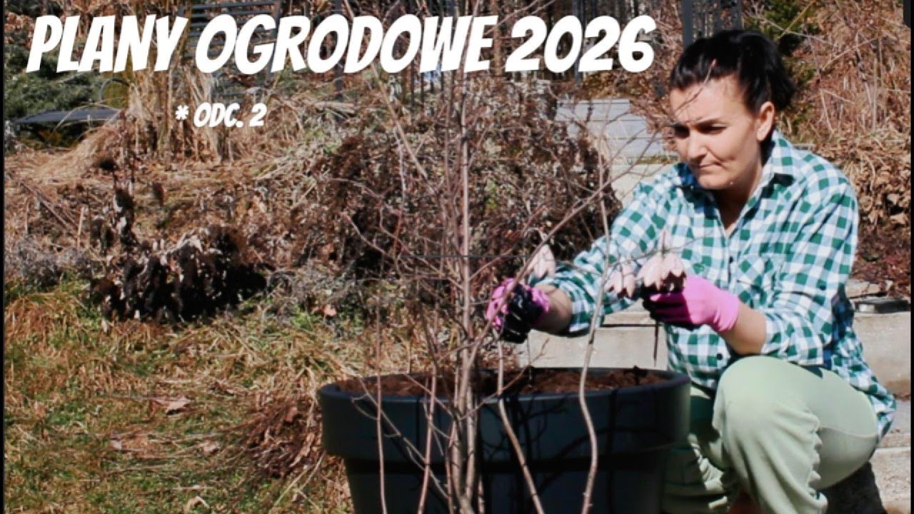 OGRODOWE PLANY NA TEN ROK#garden #ogród #сад 
