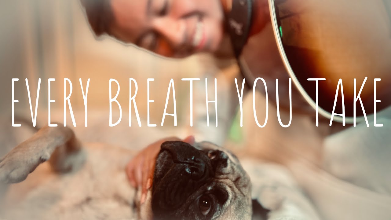 Every Breath You Take 🌬️| The Police 🚔|Fingerstyle 🎸|Runaway Pup🐶Tribute| I’ll Be Watching You!👀