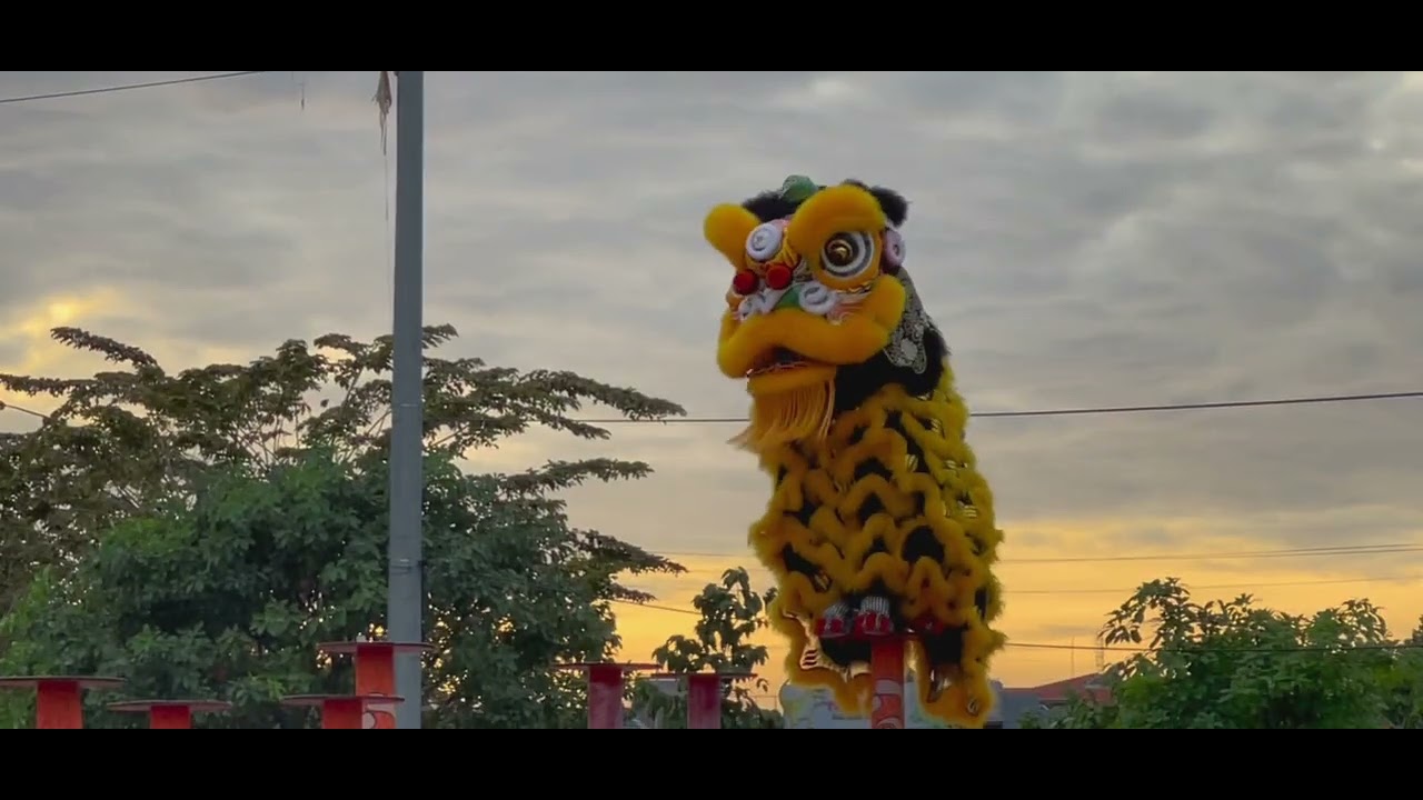Tranh Cup Tam Hiệp Biên Hoà 8,52