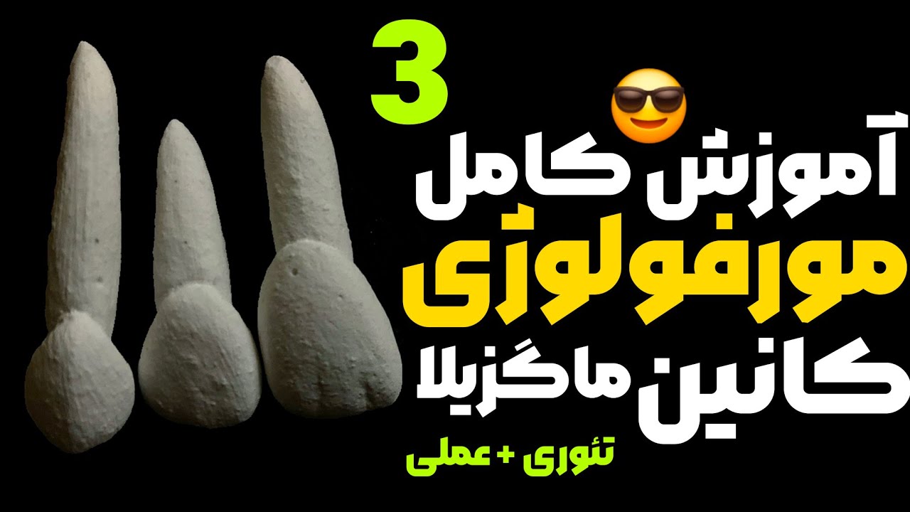 آناتومی دندان کانین بالا| مورفولوژی دندان کانین بالا|کانین ماگزیلا carving of maxillary canine