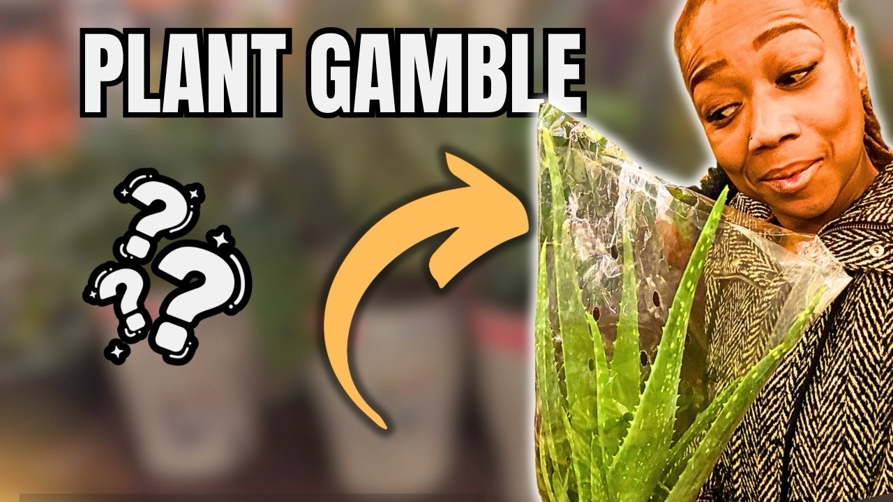 Я рискнул и купил это растение в Home Depot… Пожалел ли я об этом?