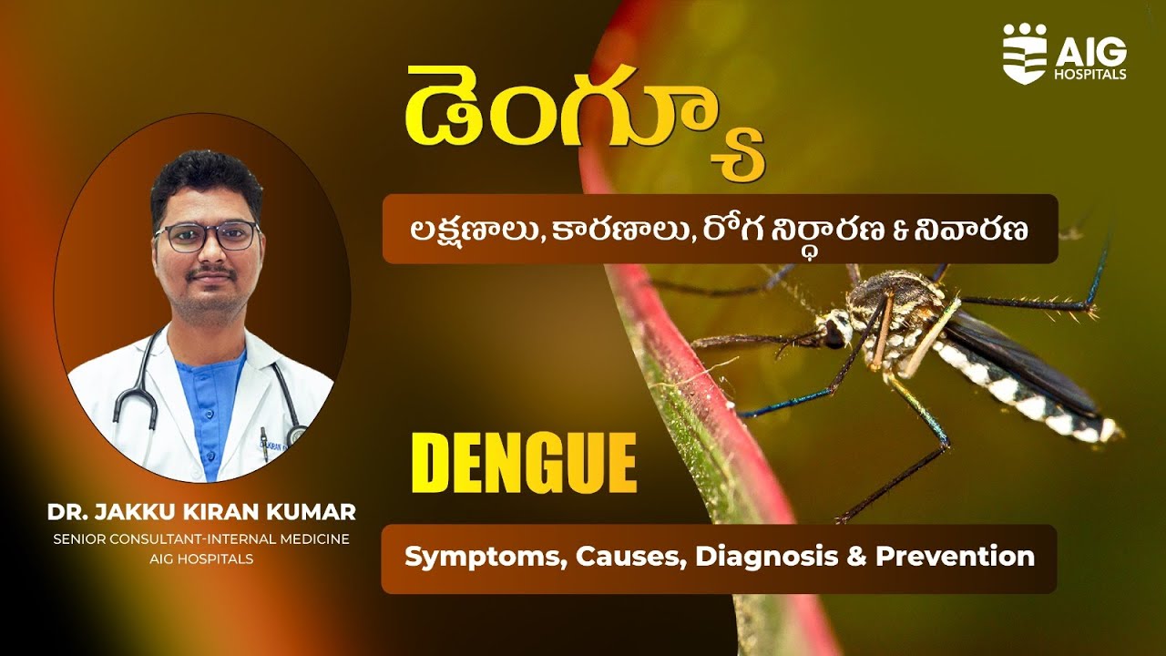 Dengue: Symptoms, Causes, Diagnosis & Prevention | Dr. J Kiran Kumar | AIG Hospitals | #dengue