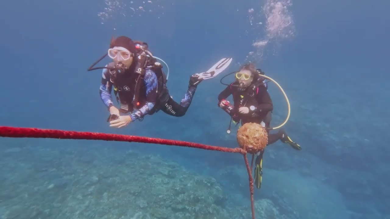 Plongée du Réveillon   31 décembre 2024