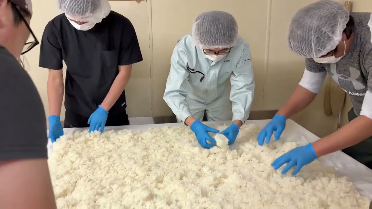 稲作経営学科「醸造体験学習」・山形農林大学校（東北農林専門職大学附属農林大学校）