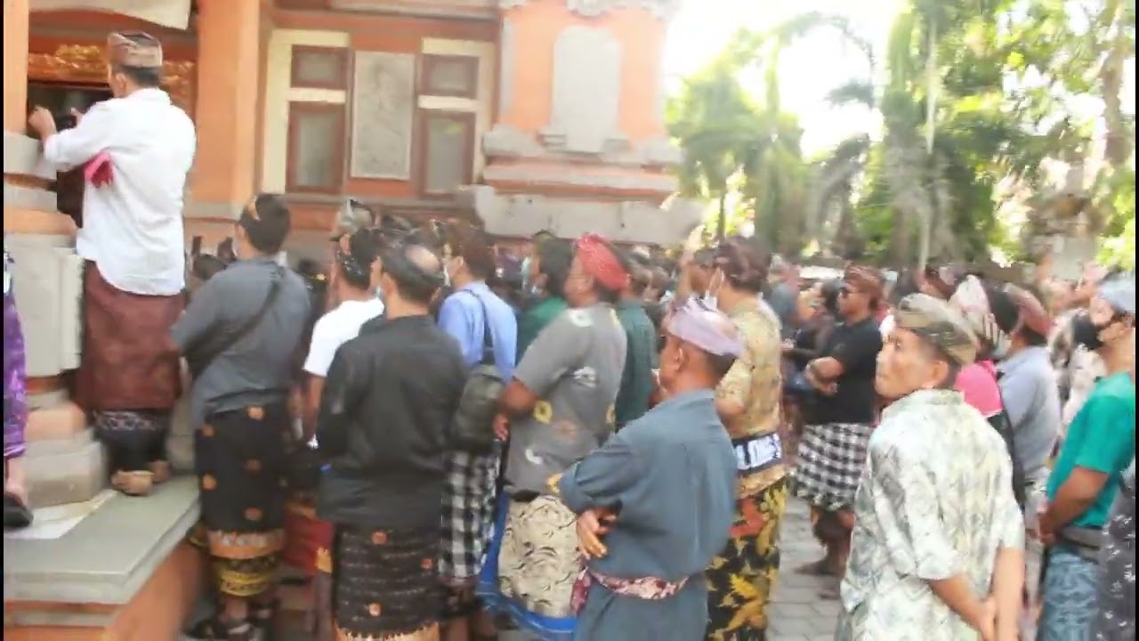 Ribuan Krama Desa  Adat Bugbug IWB: Singaraja, Denpasar, Pancasari, Klungkung audiensi MDA Provinsi