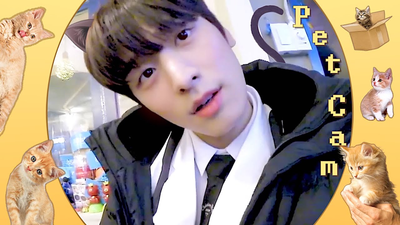 [더보이즈 주연] ⁺⋆｡𝚙𝚎𝚝 𝚌𝚊𝚖₊⋆°⋆