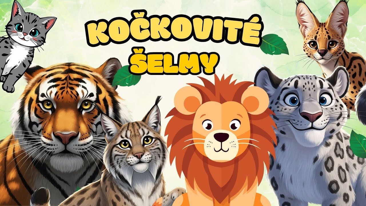 🦁 KOČKOVITÉ ŠELMY pro děti 🐯 Zábavné vzdělávací video pro děti o kočkovitých šelmách