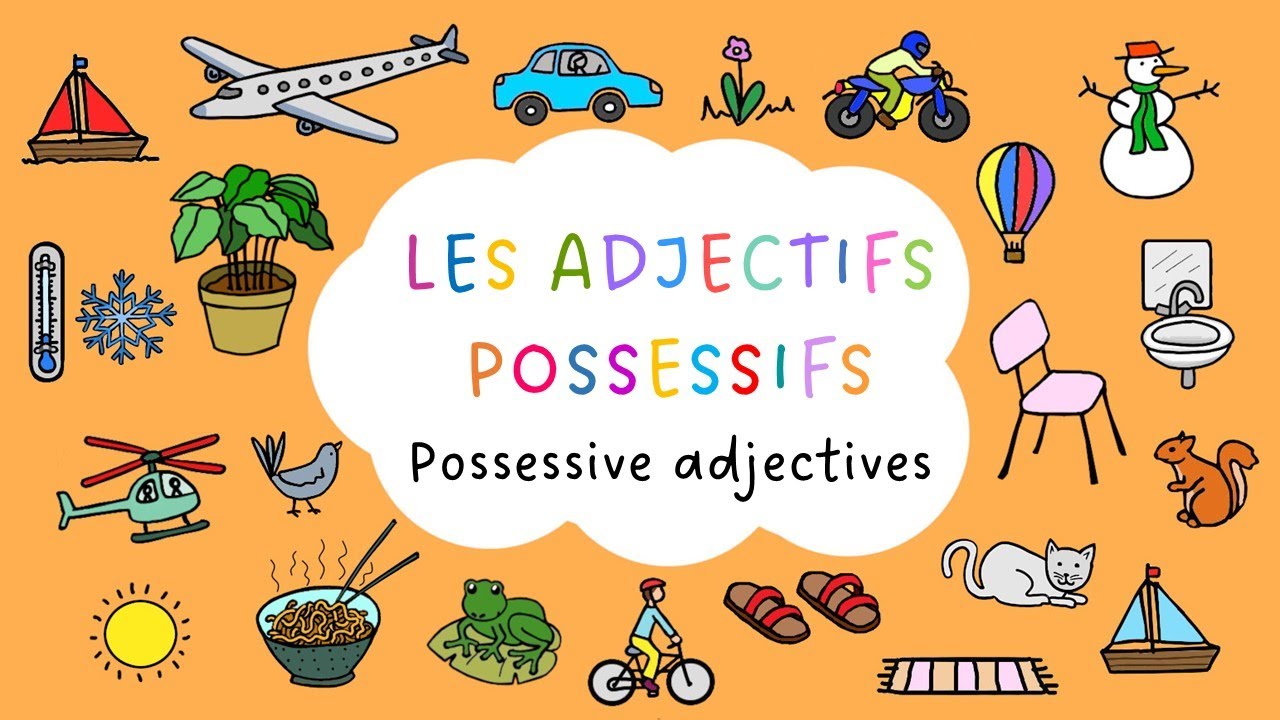Les adjectifs possessifs - Possessive Adjectives