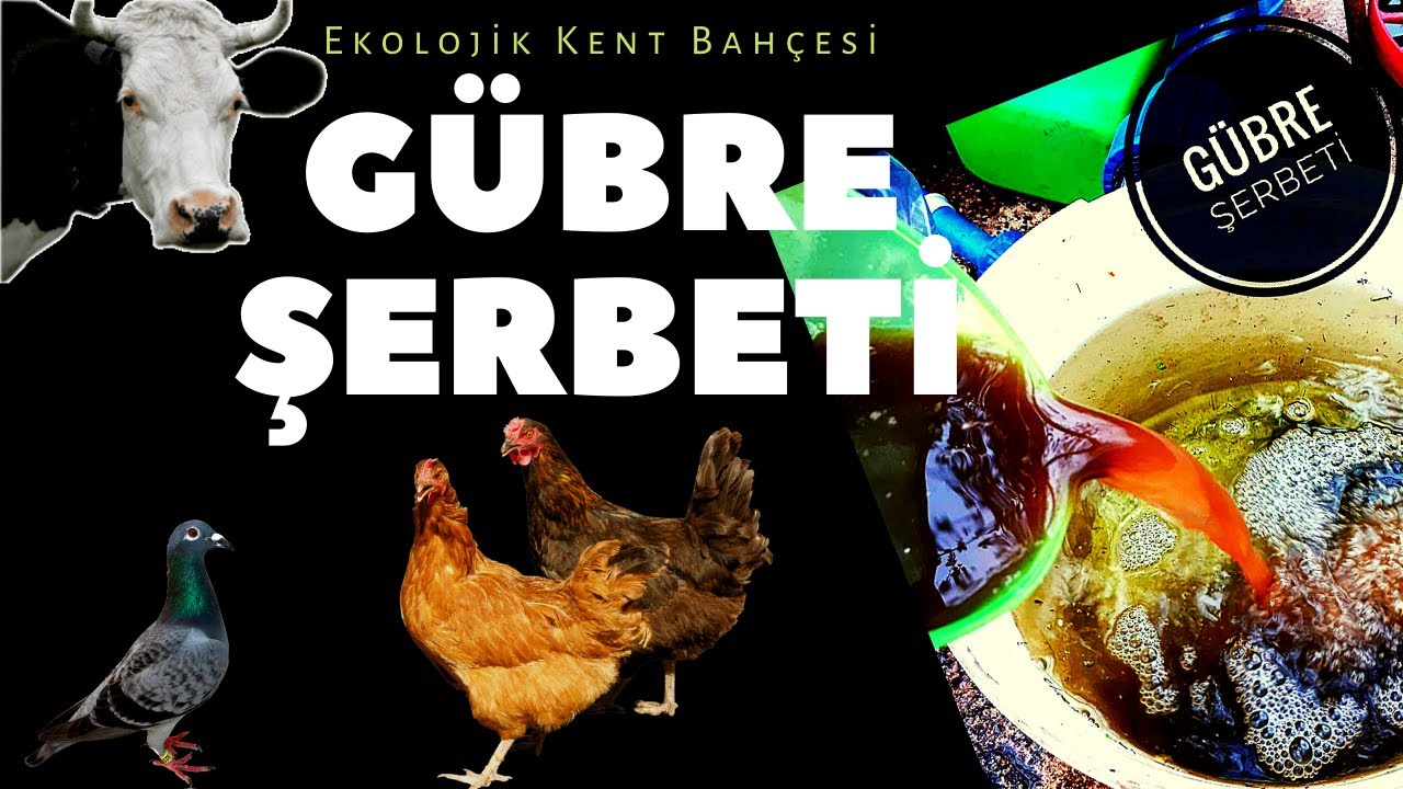 BİTKİ COŞTURAN GÜBRE ŞERBETİ NASIL YAPILIR ?