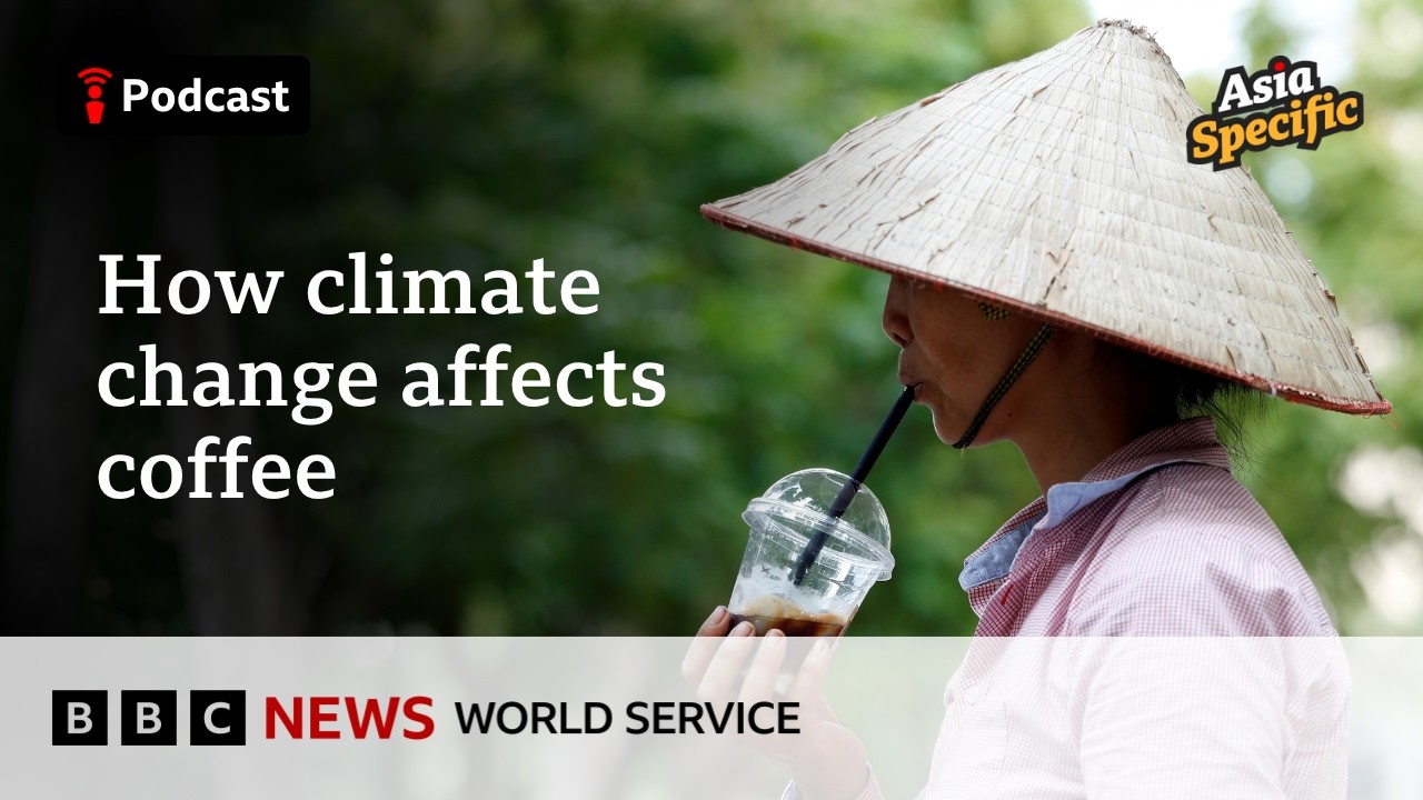 Why Vietnam&rsquo;s coffee beans might outlast others - Asia Specific podcast, BBC World Service