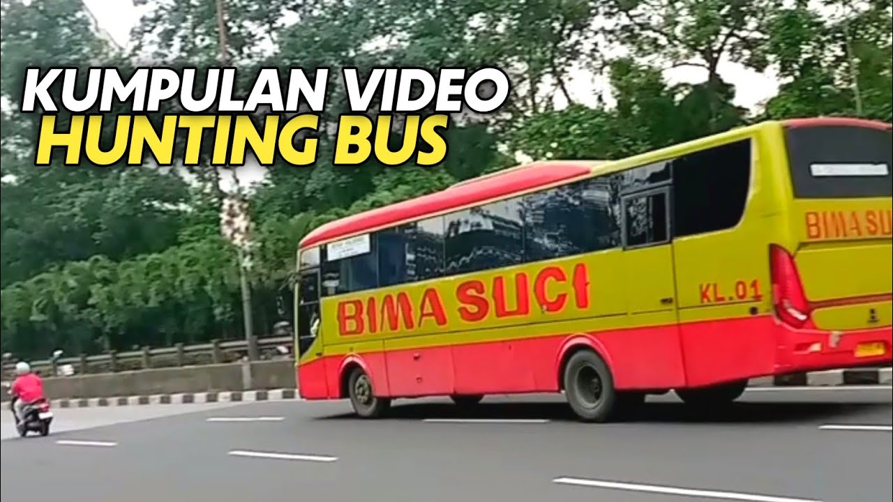 Kumpulan Video Hunting Bus ❗ BIMA SUCI, ASLI PRIMA, ROSALIA INDAH, KUPU KUPU AYU, PRIMAJASA dll