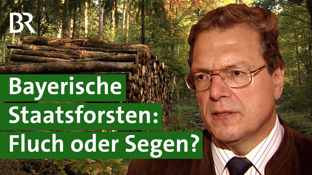 20 Jahre Bayerische Staatsforsten &ndash; eine Bilanz | Wald | Unser Land | BR