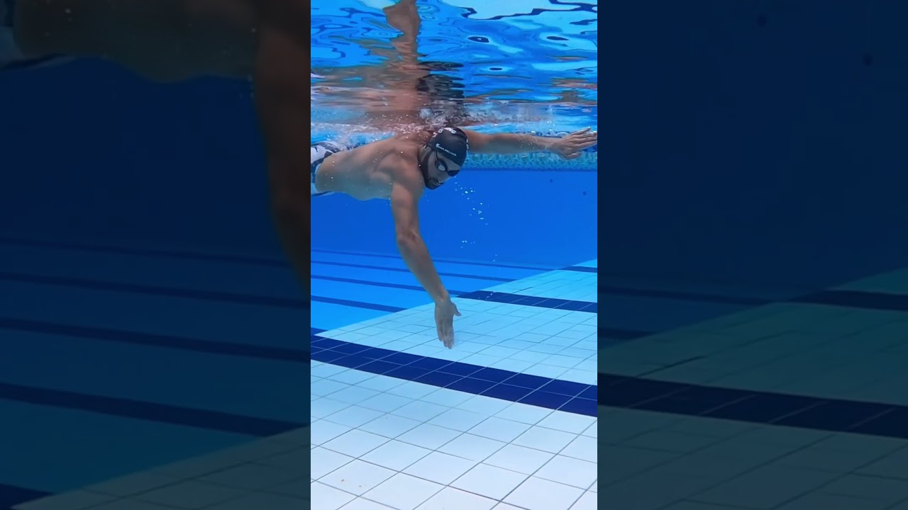 Voc&ecirc; conhece as 4 fases da bra&ccedil;ada?