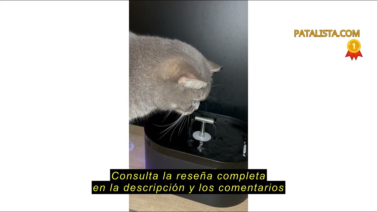 Reseña del Nenozi Fuente automática para Gatos, 2,2 l, con Bomba ultrasilenciosa, Filtro de carbón A