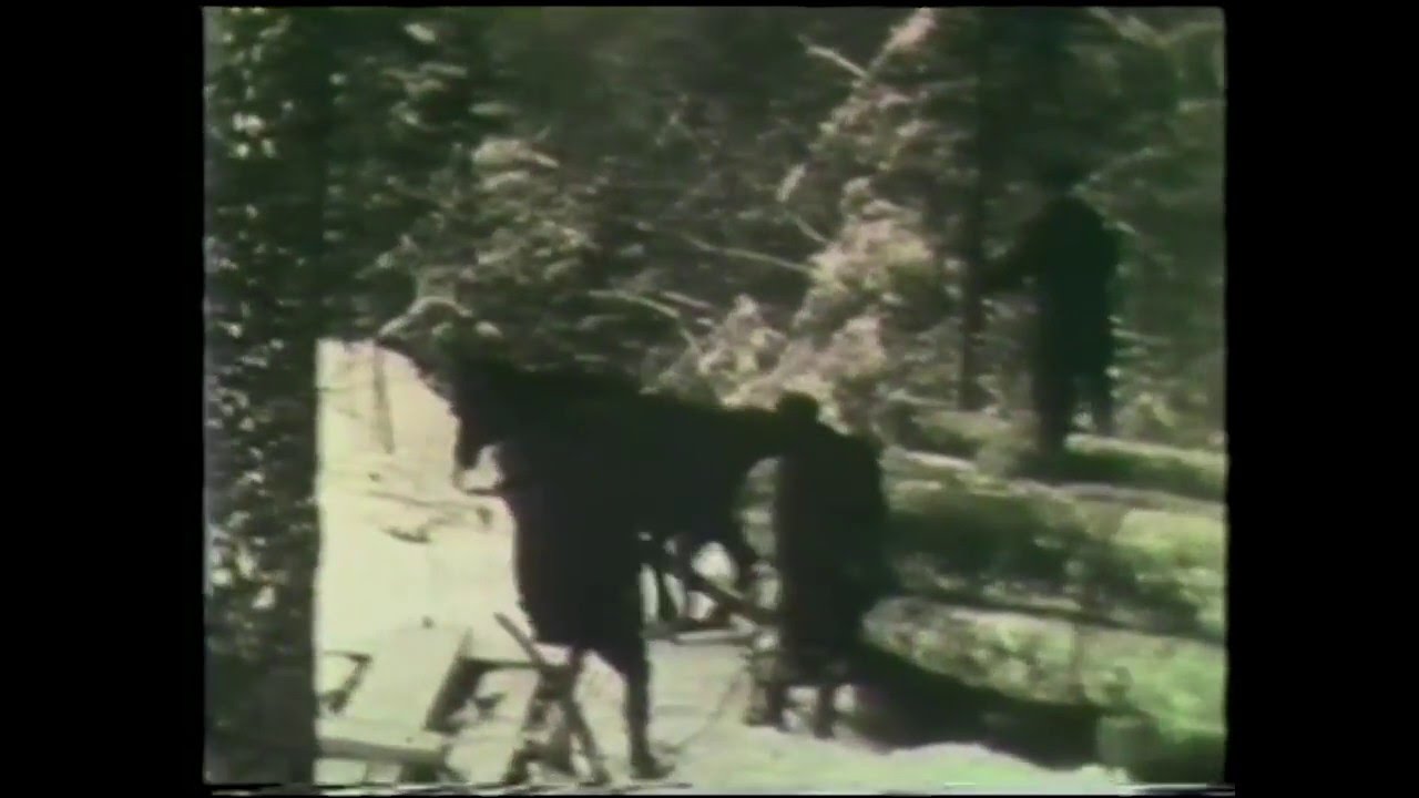 Logging in Quebec, 1934 Preview