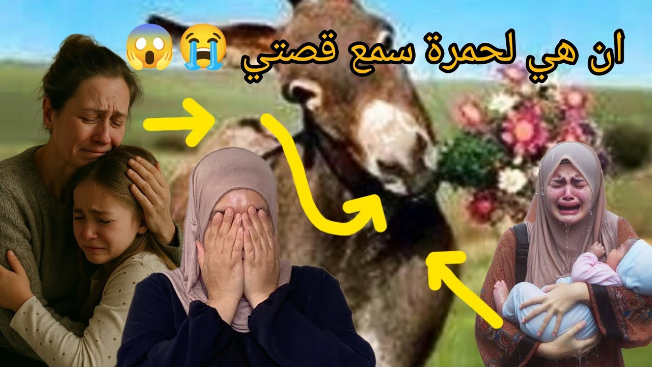 نهار عرسي شفت الجحيم😭في ليلة عرسي 