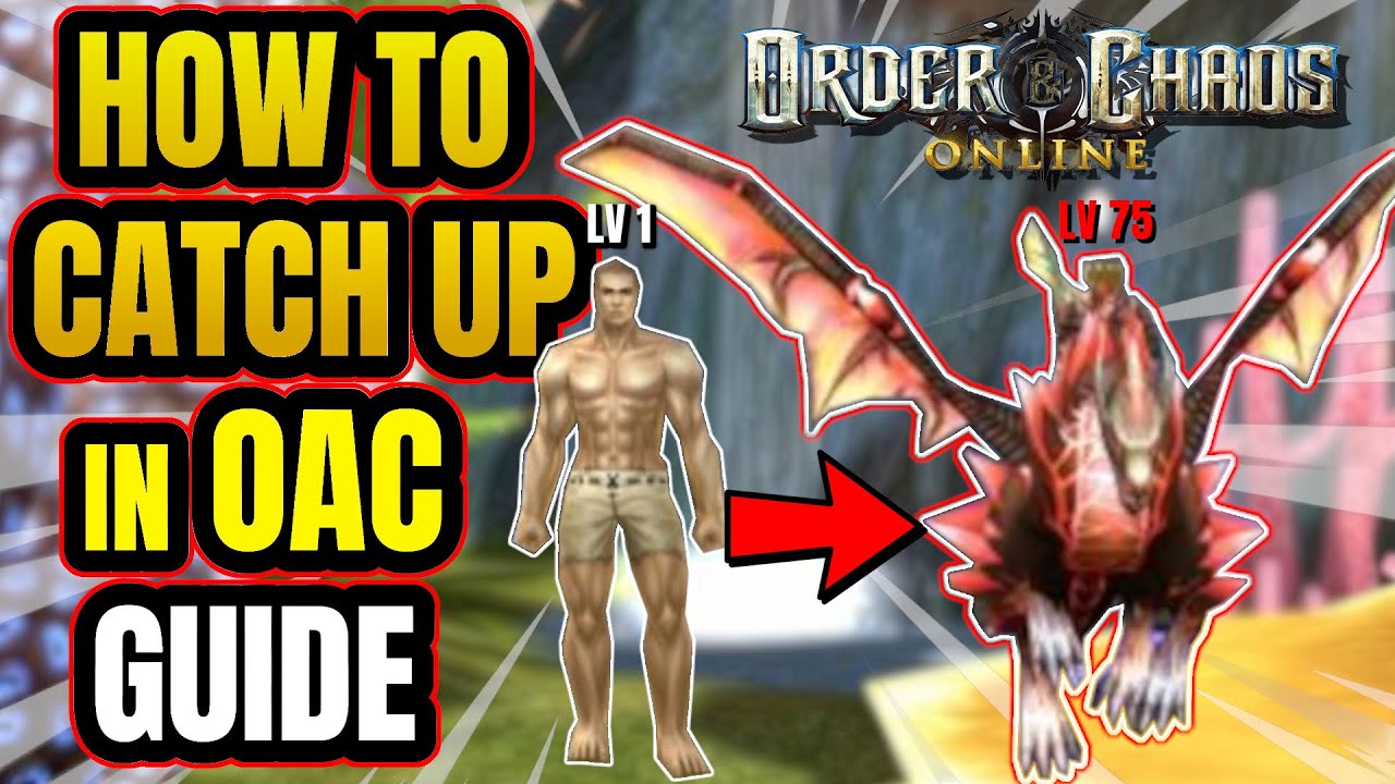 Order & Chaos online 2021 | Руководство для начинающих 