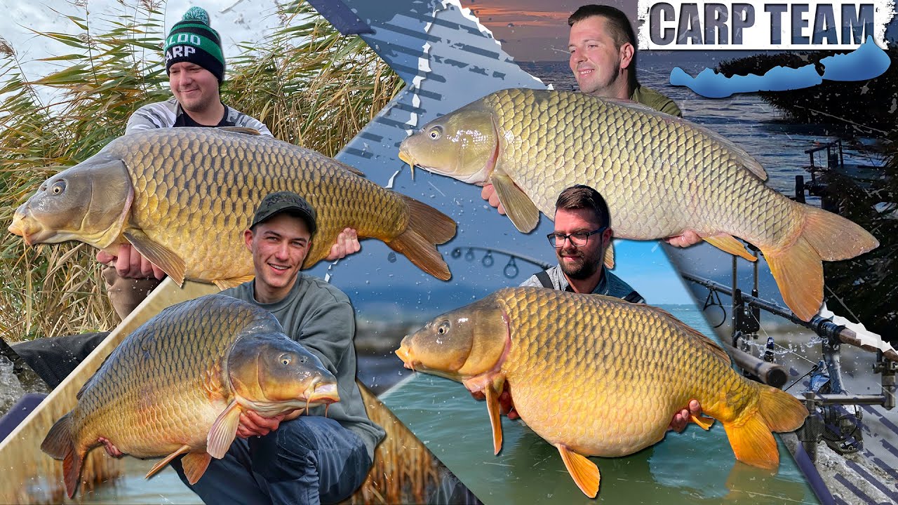 Haldorádó Carp Team - 3 évszak nagyponty-horgászata a Balatonon