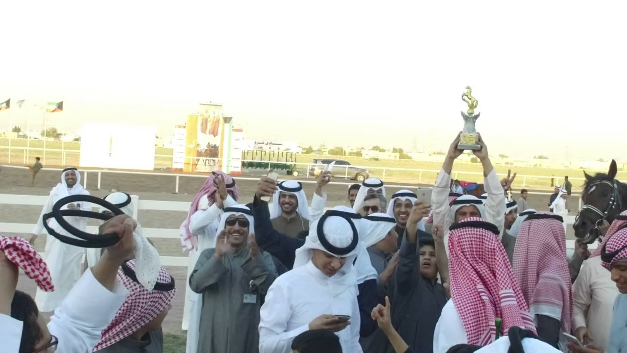 اسطبل العويض