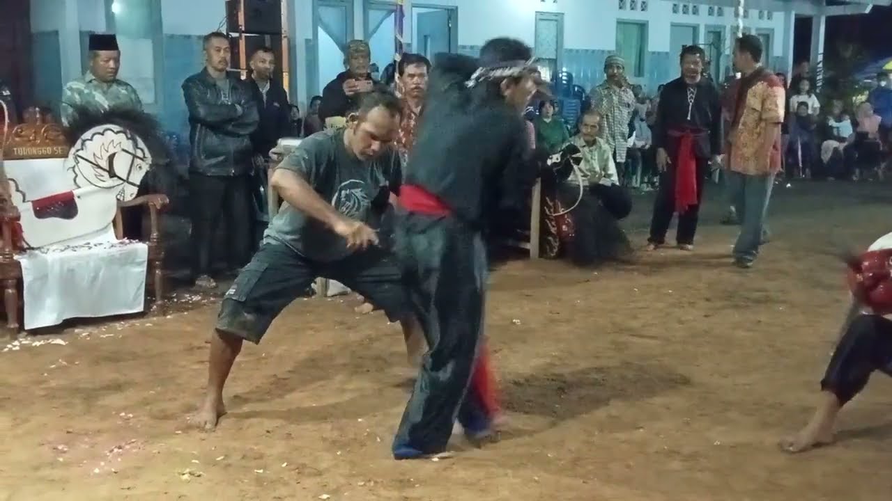 Jarum jarum Jaran kepang Turonggo seto Live Karangrejo