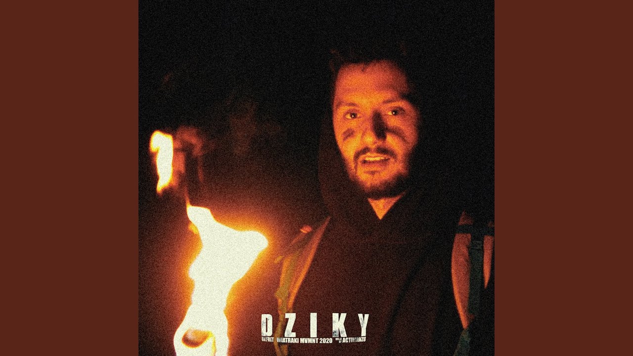 Dziky