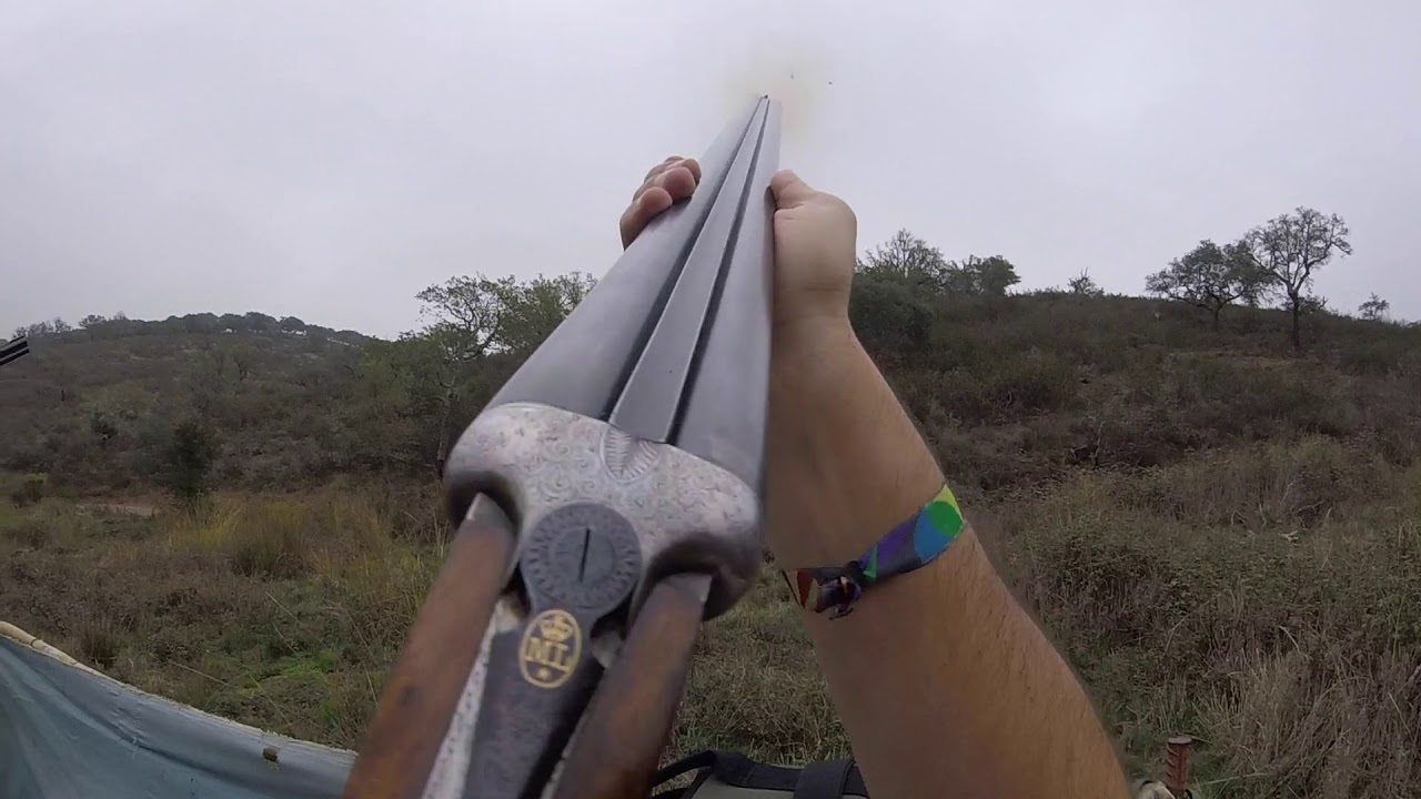 Batida perdizes / Ojeo perdices / driven partridge shooting - Mão Fatal, Armindo 2017