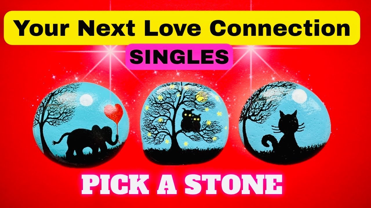 YOUR NEXT LOVE CONNECTION 💖 (SINGLES) PICK A PEBBLE (Owl, Elephant, or Cat? 🤔) TIMELESS TAROT