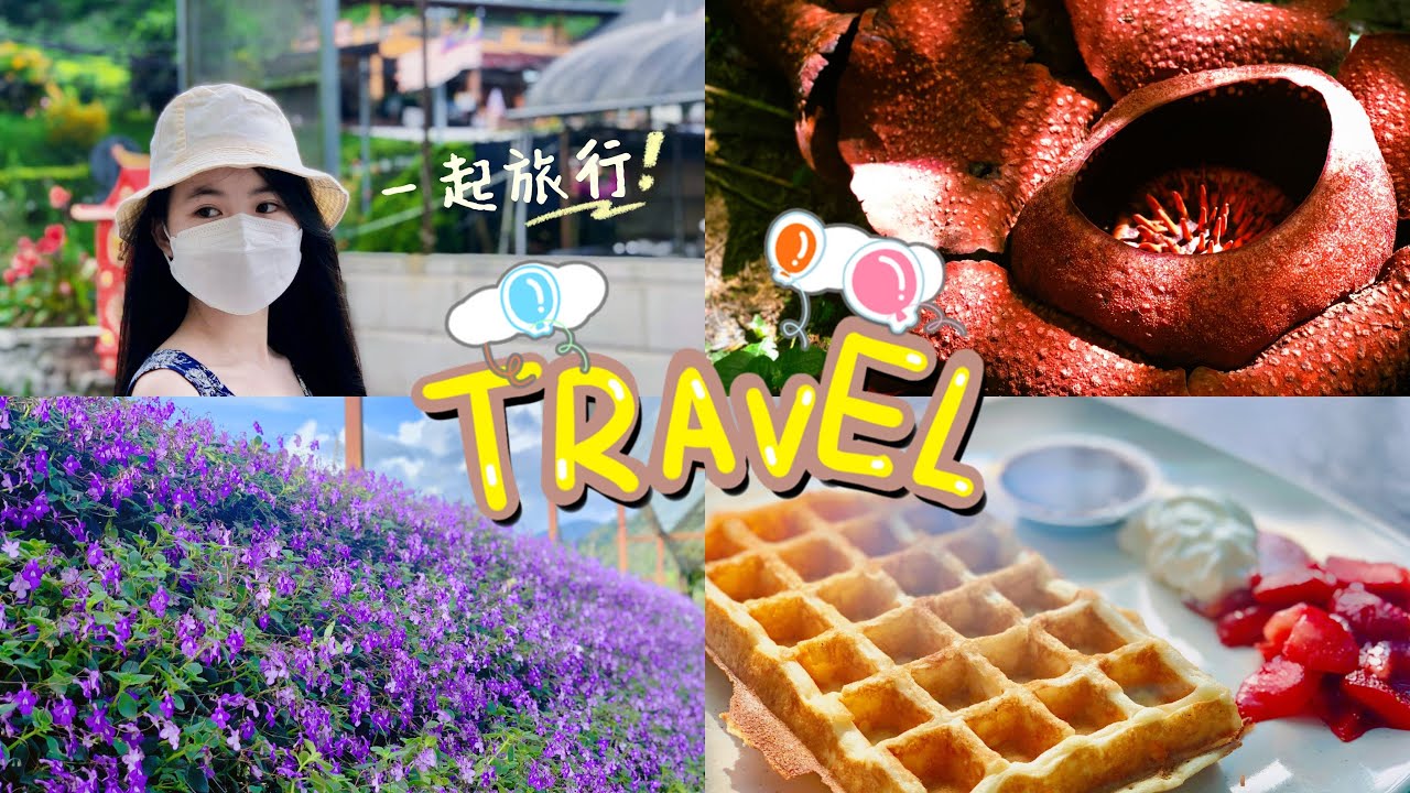 Cameron Highlands | 3 Days 2 Nights | Twin Blooming Rafflesia @Lojing Highlands, Kelantan