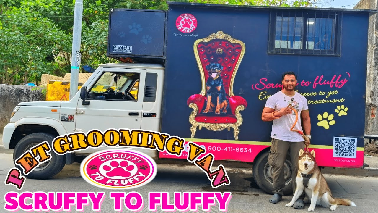 PET GROOMING VAN | PET SALON ON WHEELS | CARAVAN | PET GROOMING ON WHEELS | SCRUFFY TO FLUFFY | PETS
