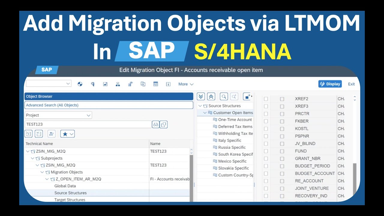 Как добавить поля в LTMOM для миграции данных | Учебное пособие по SAP Migration Cockpit