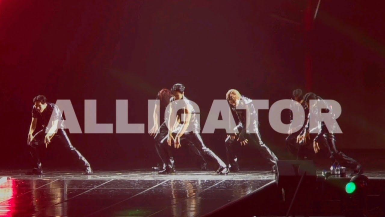 [몬스타엑스] 260131 ALLIGATOR - THE X : NEXUS