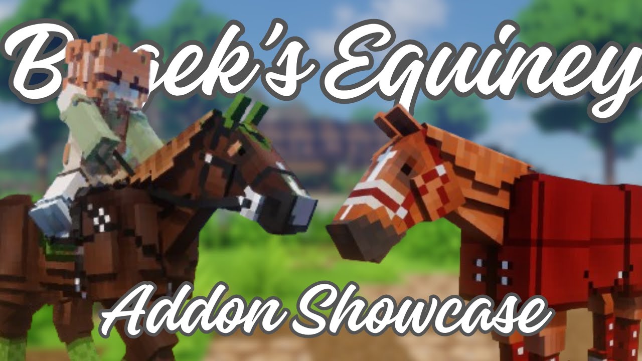 Bagek's Equiney Addon | SWEM Addon Mini Showcase
