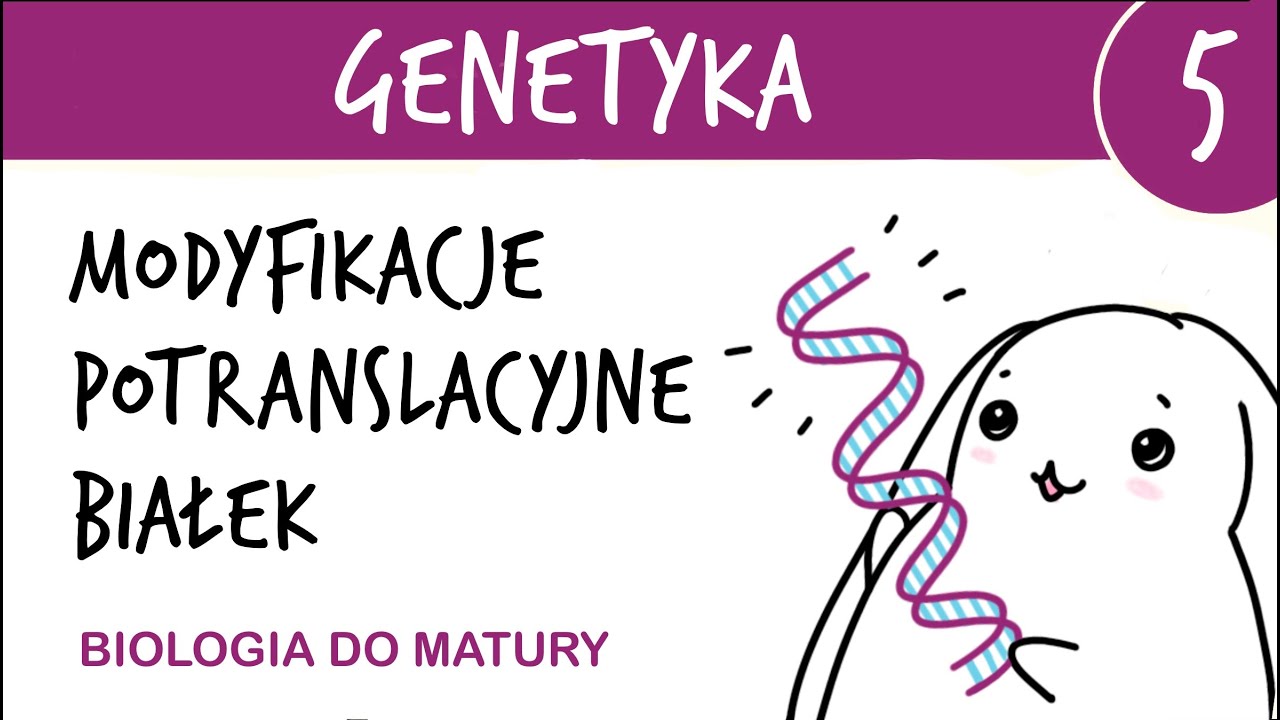 Genetyka 5 🧬 Modyfikacje potranslacyjne białek - matura z biologii rozszerzona, liceum