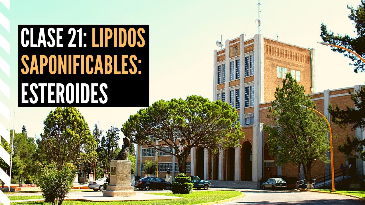 Lípidos Insaponificables: Esteroides