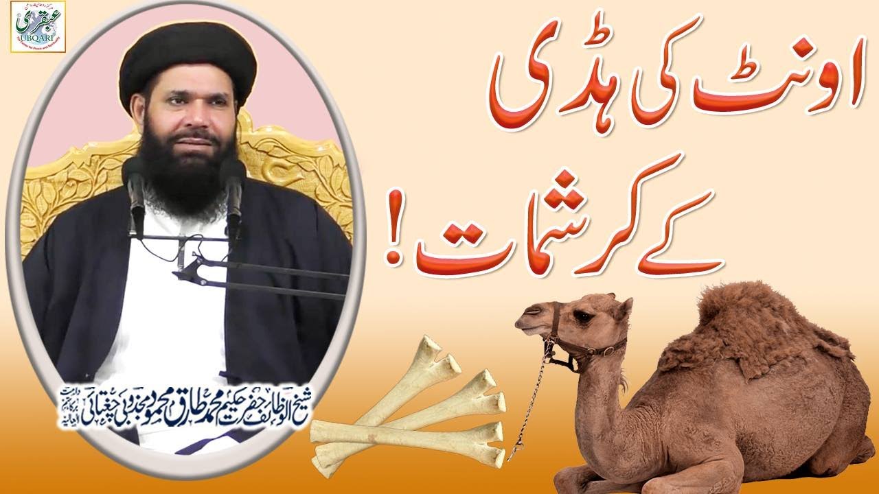 Onth Ki Haddi Ky Karishmaat l